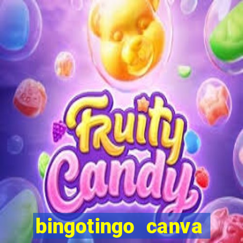 bingotingo canva pro gratis